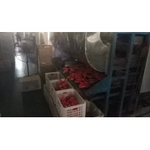 aditivo alimentario de fábrica de China de bajo precio 340g botella de PET salsa agria de tomate dulce pasta